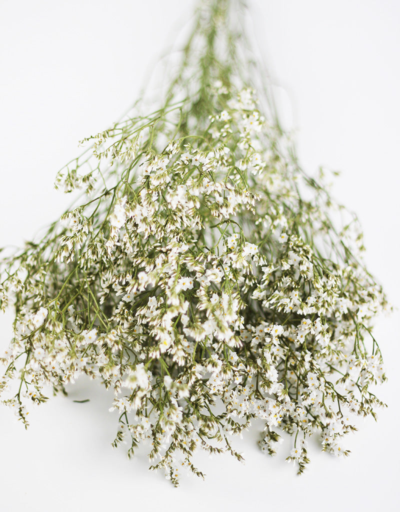 Bunch of white dried flowers