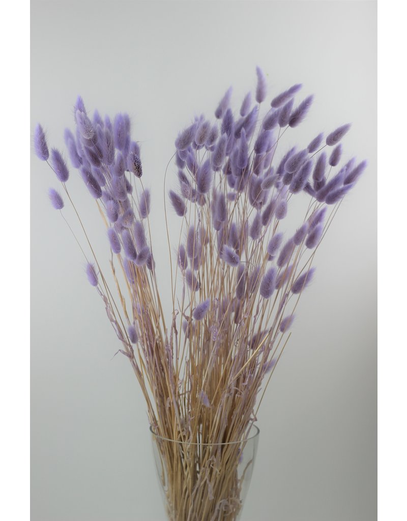 Dried Lavender with Purple Bunny Tail