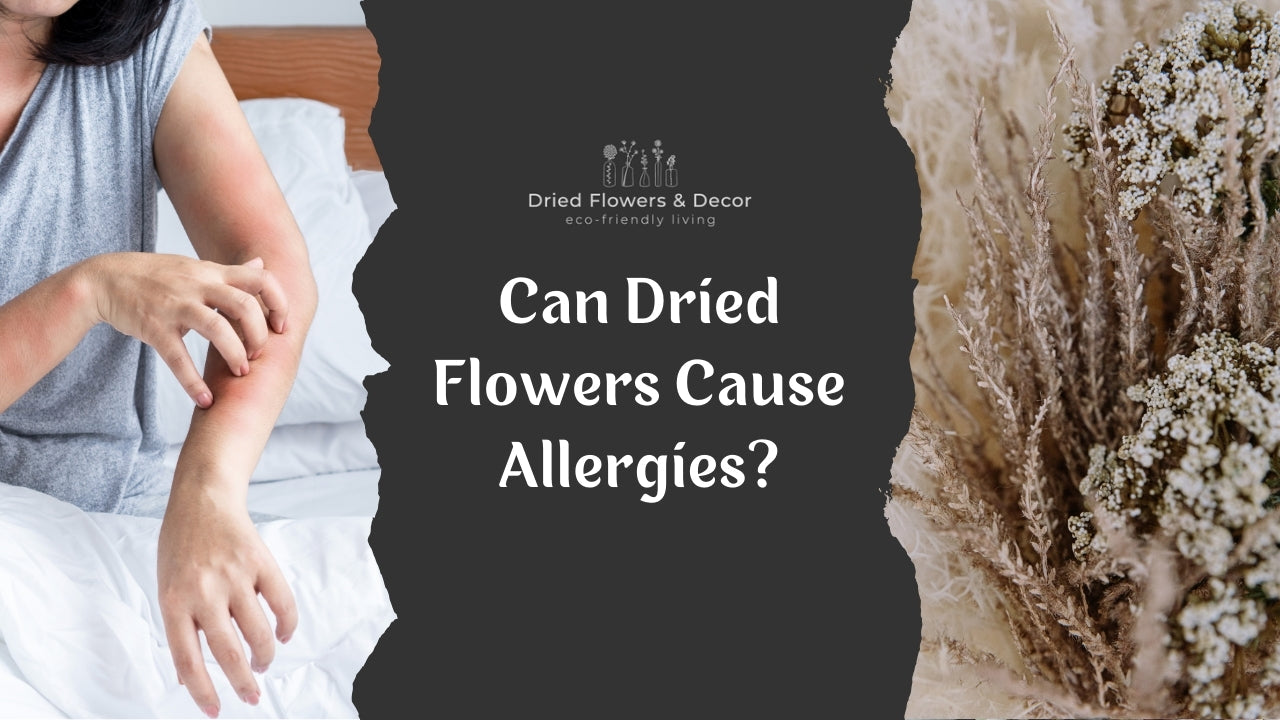 Can Dried Flowers Cause Allergies?