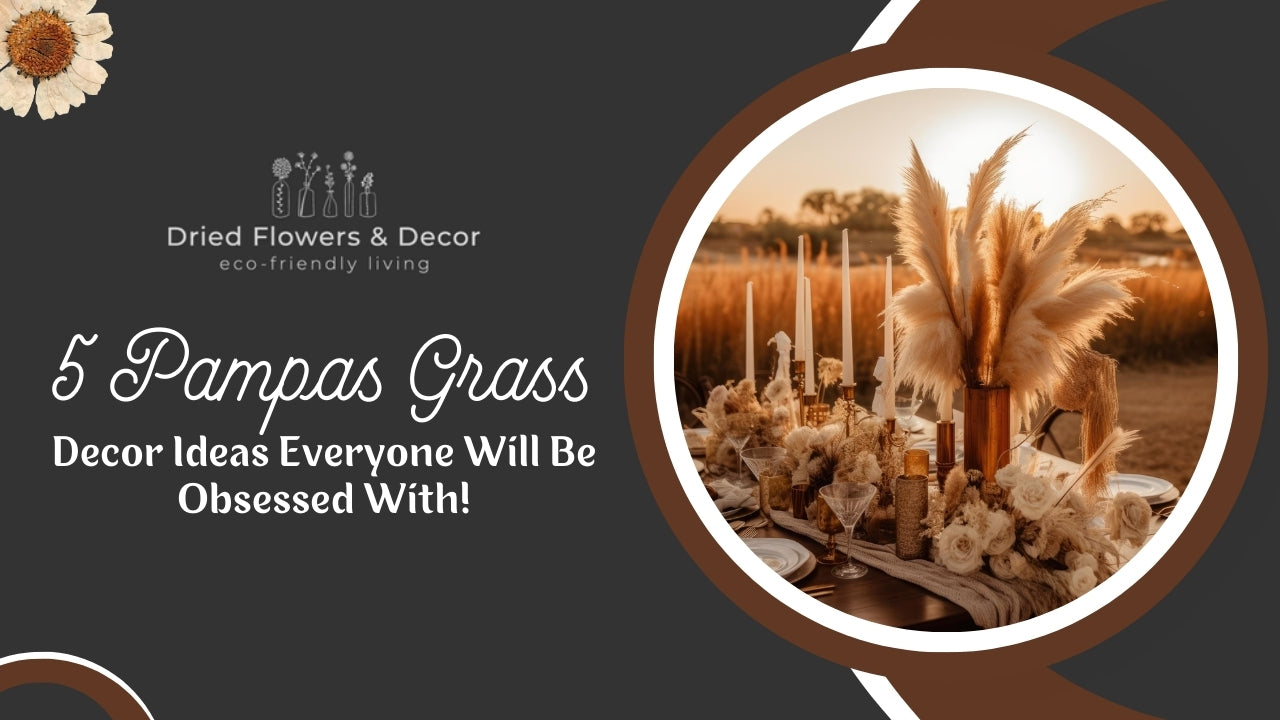 5 Pampas Grass Decor Ideas Everyone Will Be Obsessed With!