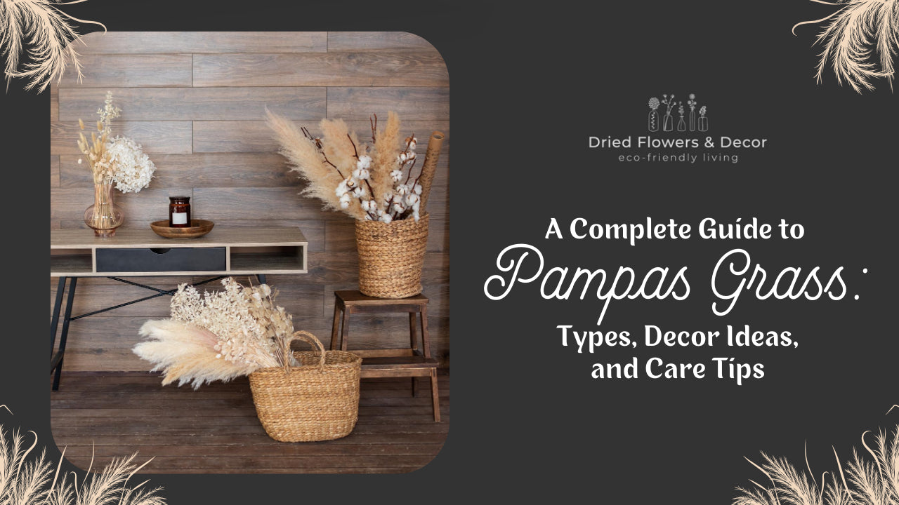 A Complete Guide to Pampas Grass: Types, Decor Ideas, and Care Tips