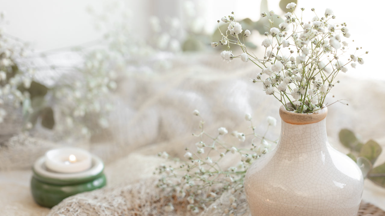 Gypsophila Dried &amp; Preserved Flowers