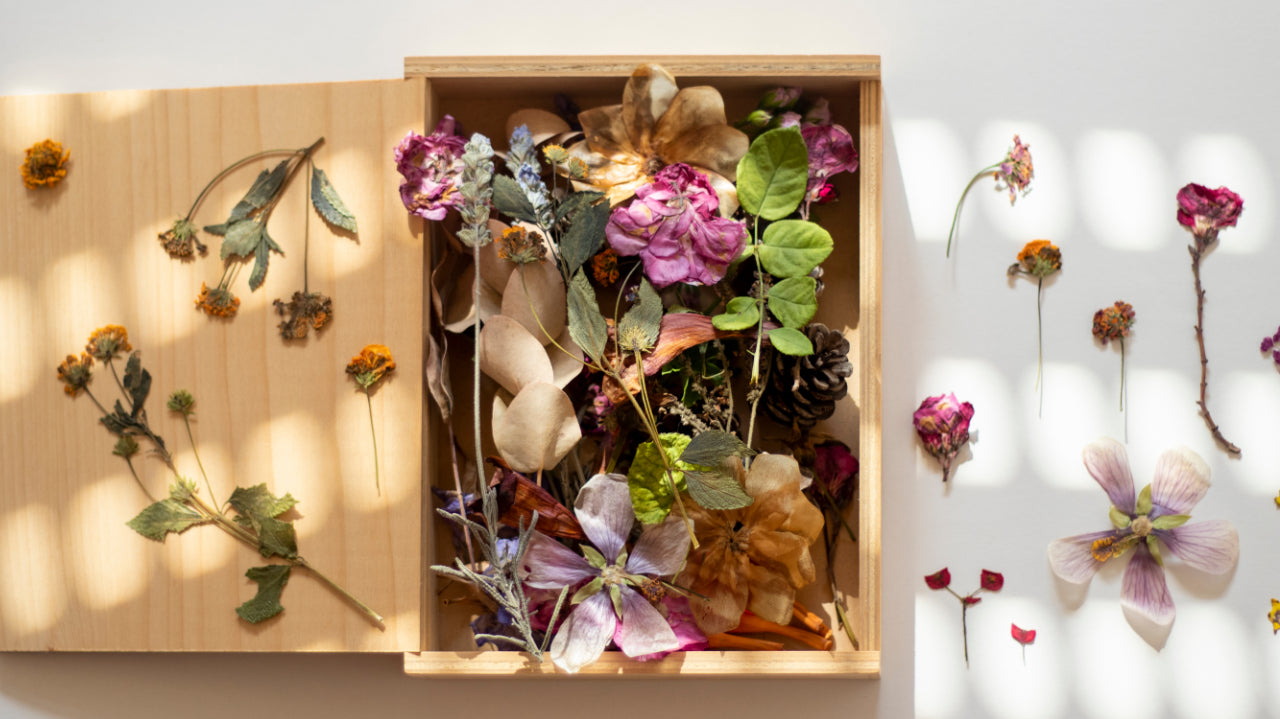 New Arrivals Dried &amp; Preserved Flower Collections