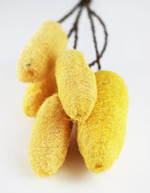 DRIED LUFFA