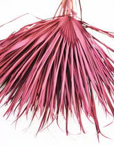 Wholesale Burgundy Dried Palm Leaves Bunch