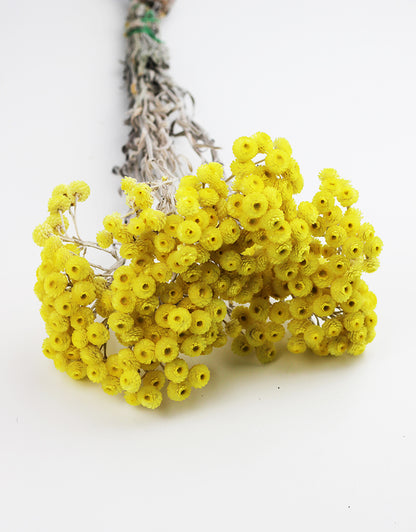 dried yellow flowers