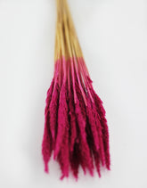 Pink Dried Pinion Grass