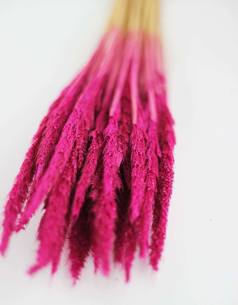 Pink Dried Flowers UK