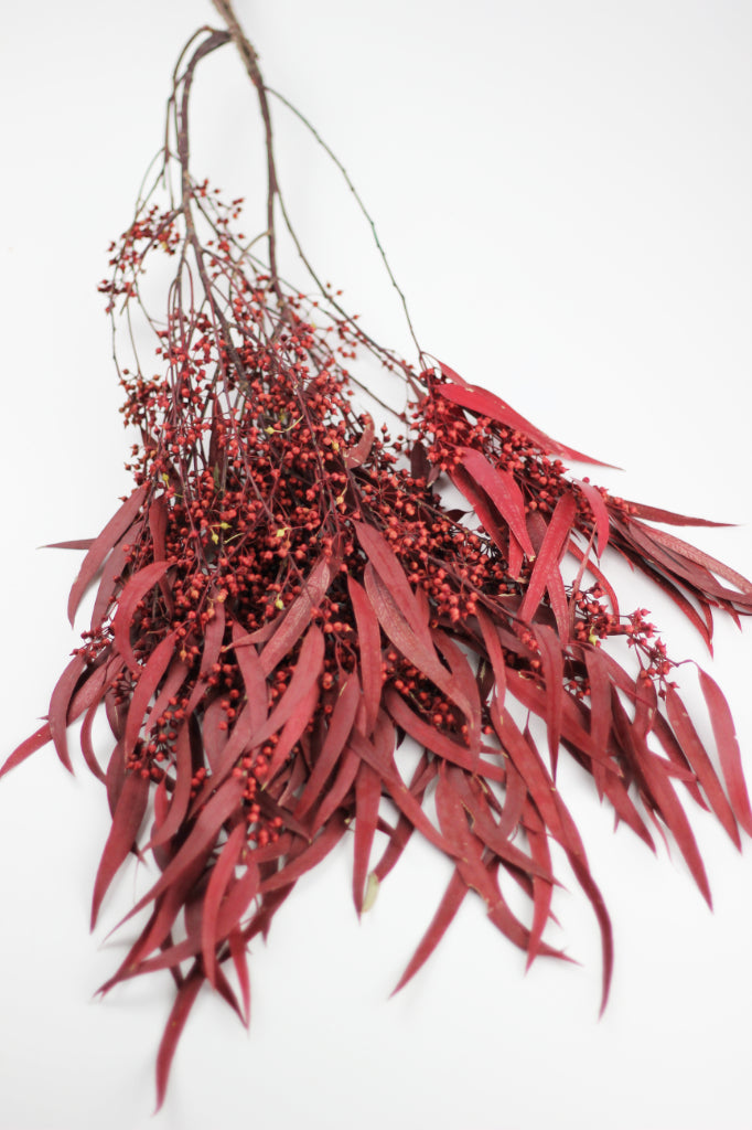 Preserved Eucalyptus Nicoli Stems Bunch with berries