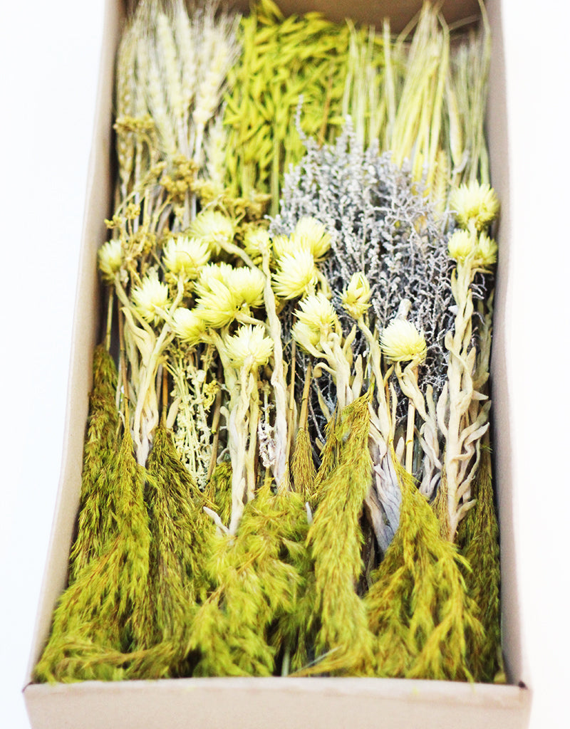 wholesale Mixed Dried Flower Box