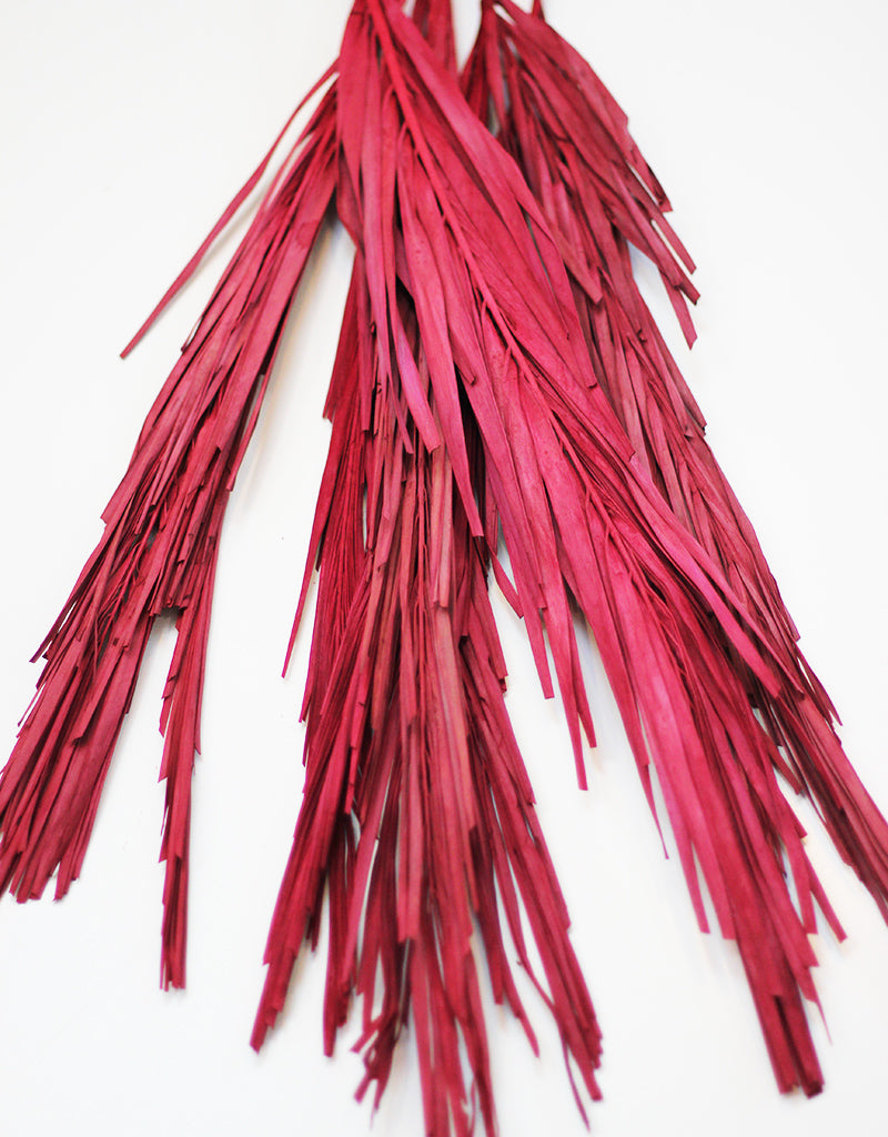 wholesale red palm leaves