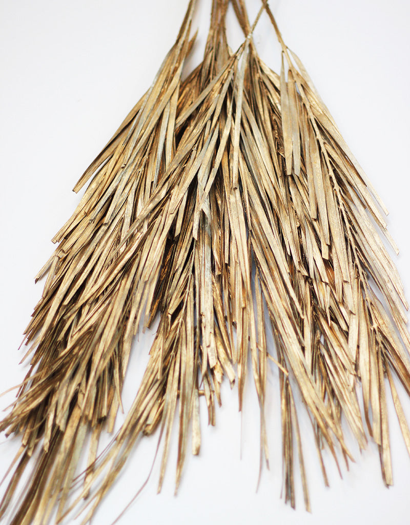 wholesale Dried Palm Leaf