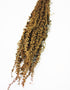 wholesale Dried Abetona Romice