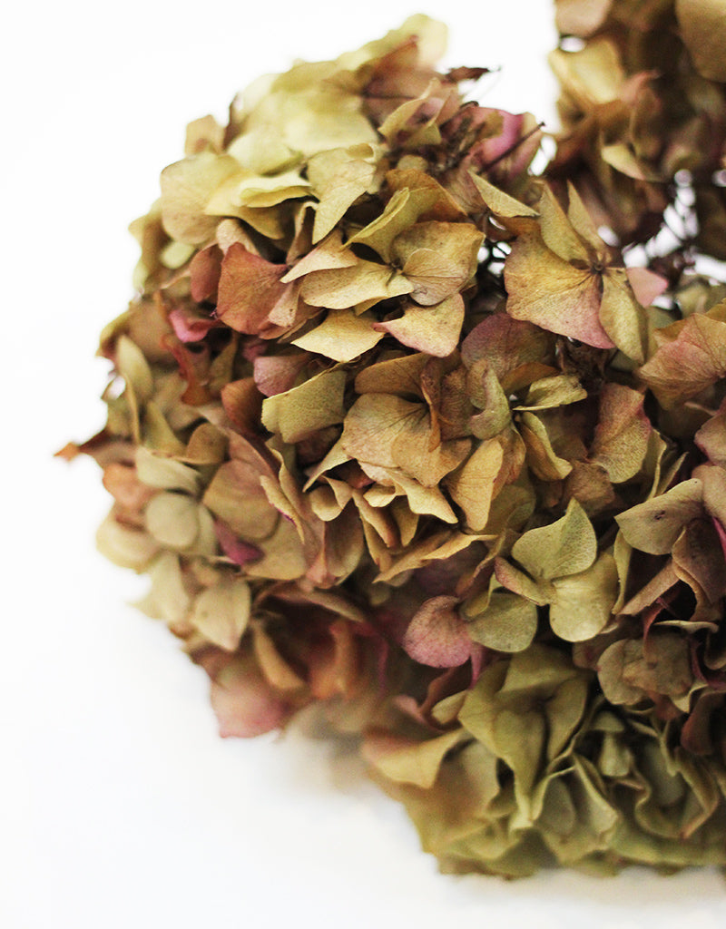 Preserved Hydrangeas wholesale bunch 