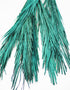 wholesale palm leaves