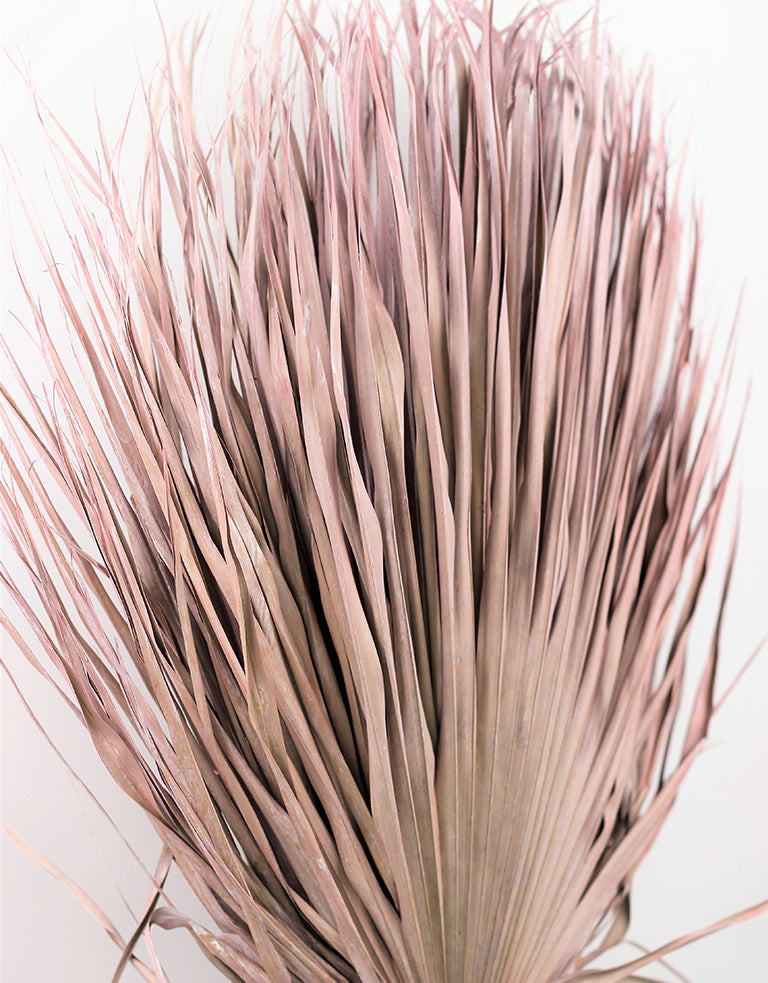 Dried Palm Pink Bunch