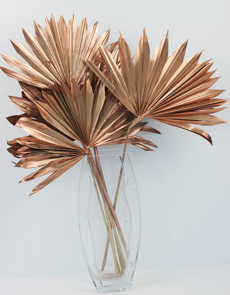 Dried Sun Palms - Copper, 60 cm l Wholesale Palm Leaves – Dried Flowers ...