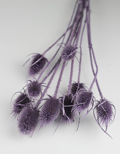 purple dried flowers 