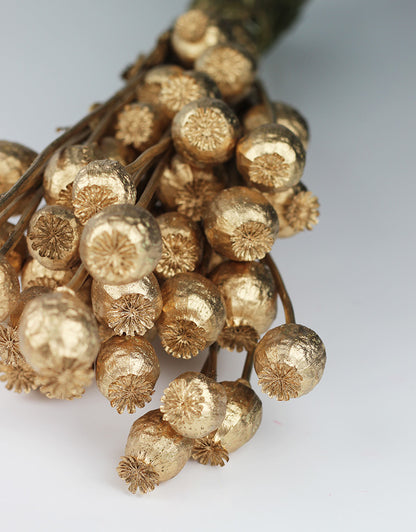Dried Poppy Heads -Antique Gold Bunch, 65 cm