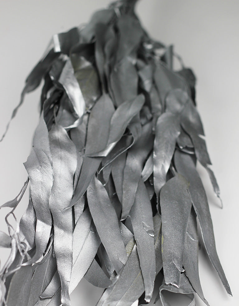 Dried Eucalyptus - Silver Bunch