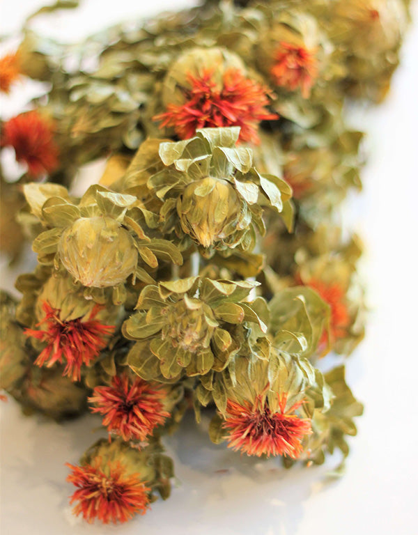 Dried Carthamus - Natural/ Orange Bunch, 70 cm