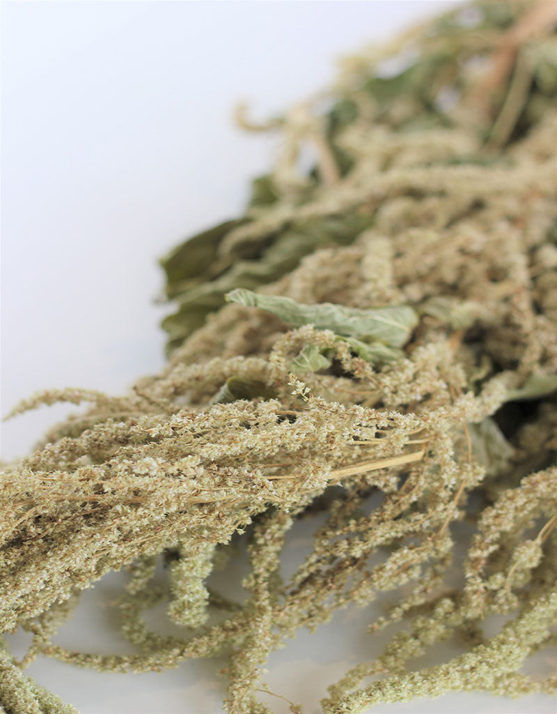 Dried trailing Amaranthus - Green Bunch, 150 grams, 70 cm