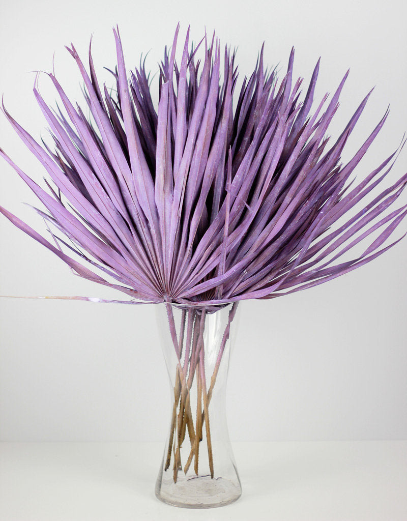 Large Dried Chamaerops Palm - Frosted Purple, 10 Stems, 70 cm