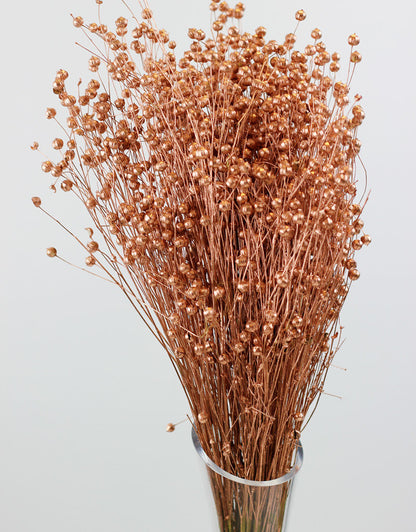 Dried Lino Vlas - Copper Sleeved Bunch, 50 cm