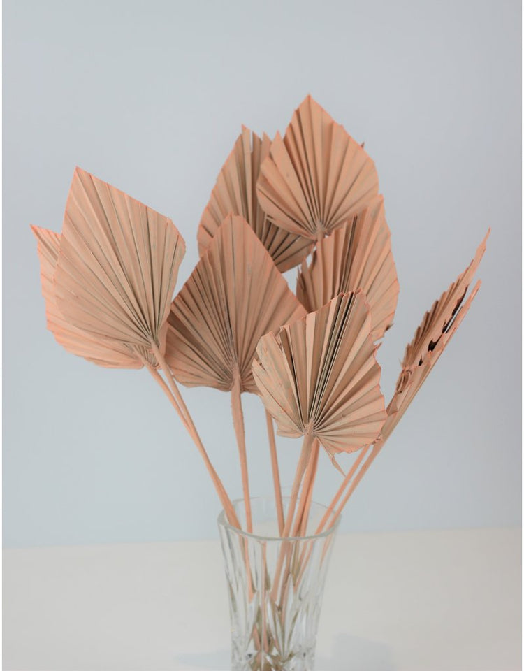 Dried Palm Leaves