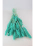 Dried Setaria - Turquoise Bunch, 170 grams, 70 cm